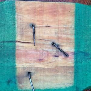 Meet your Posher, Paulina